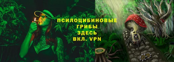 ECSTASY Алексеевка